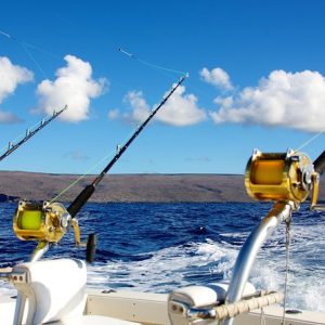 Deep Sea Cruising Dubai