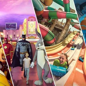 Ferrari World + SeaWorld Abu Dhabi Combo