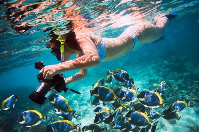 Snorkeling Tour – Fujairah - Image 7