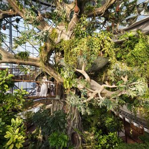 The Green Planet Entry Ticket