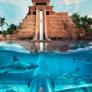 Dolphin Bay Atlantis