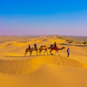 Camel Safari in the Desert