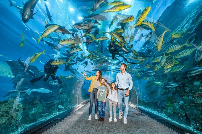 IMG + Dubai Aquarium Combo - Image 4