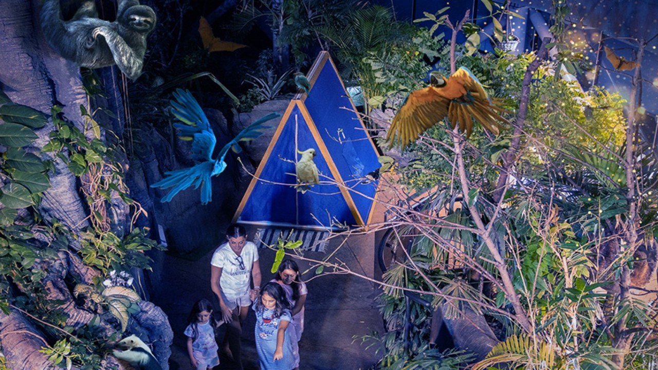 Green Planet Dubai - Image 2