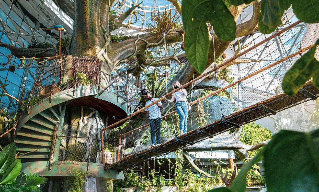 Green Planet Dubai - Image 5