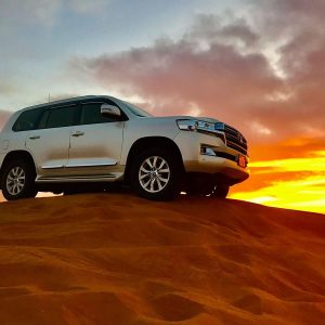 <h2>Dubai Desert Safari with Dune Bashing (Red Dunes) – Evening Experience</h2>